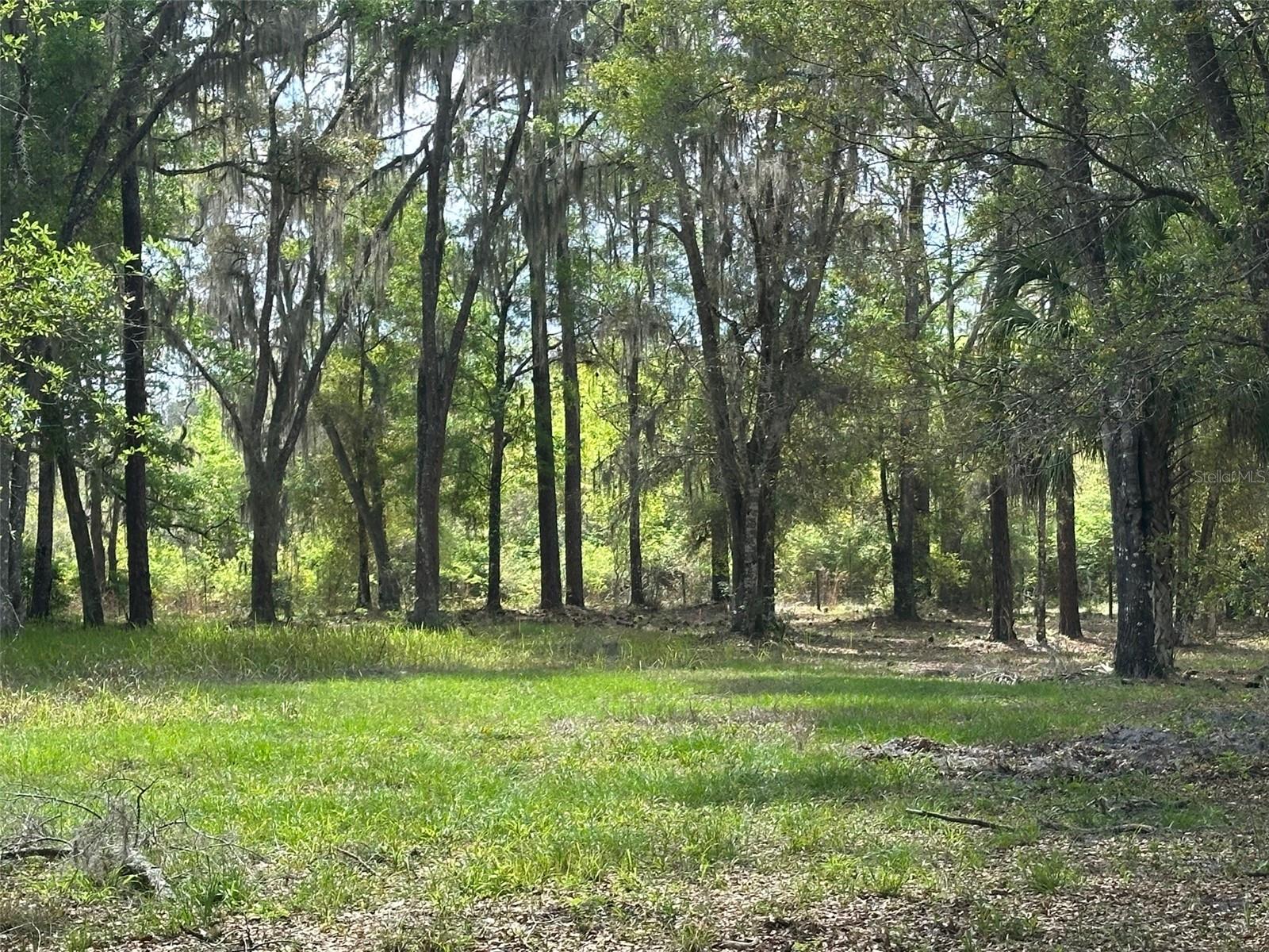 12501 Sw Highway 200 Property Photo 19