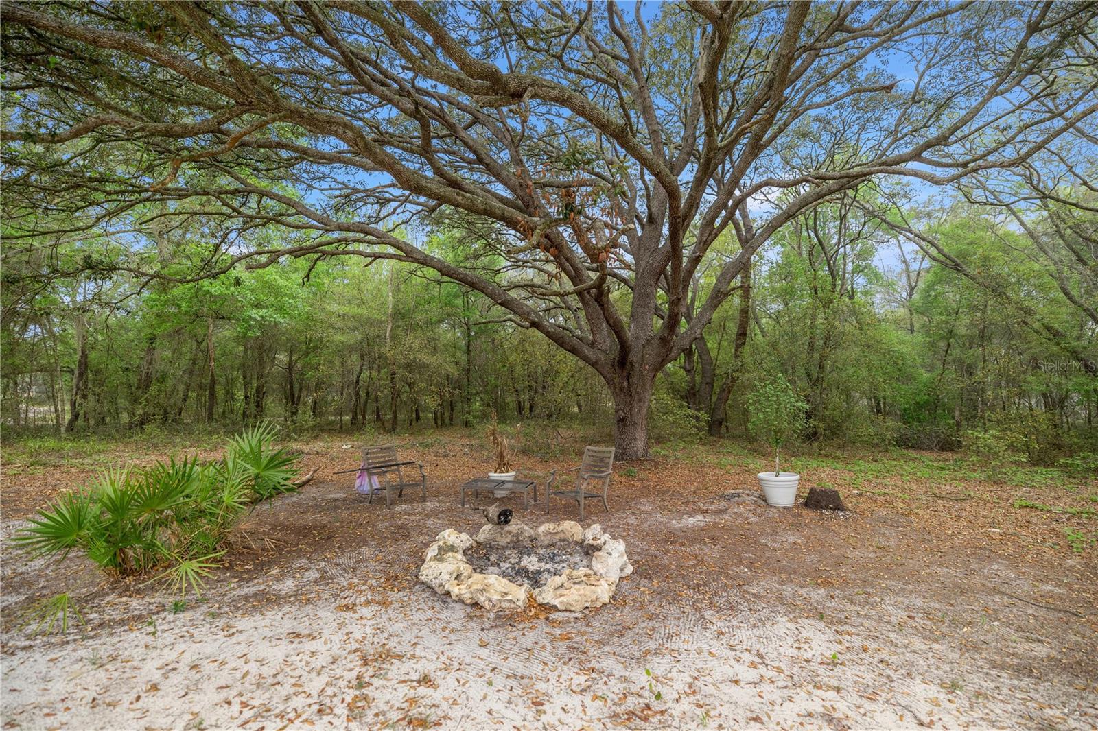 2 Magnolia Pass Trce Property Photo 28