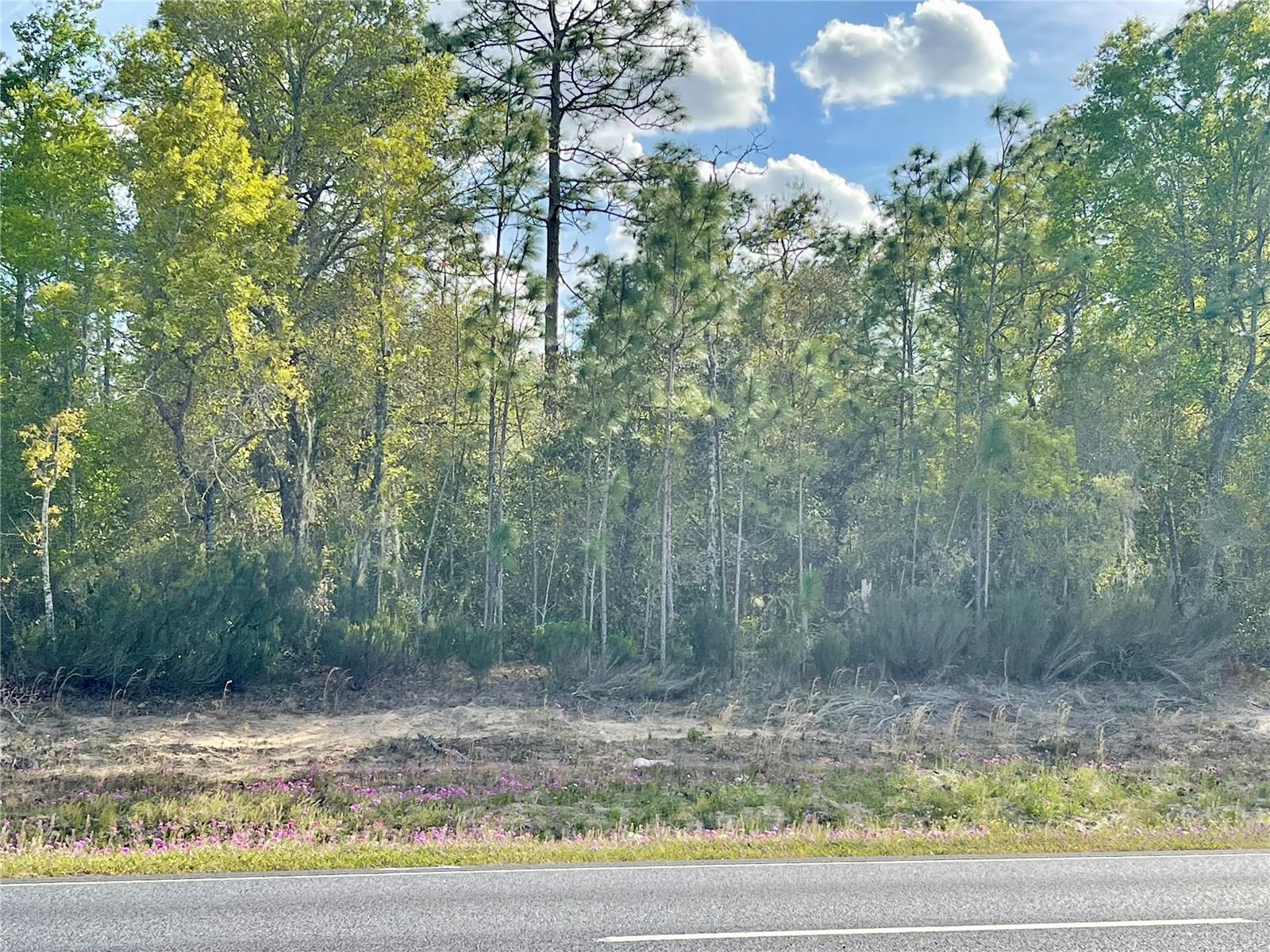 TBD NE HIGHWAY 27 ALT