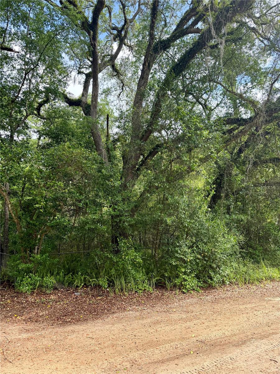 Tbd Ne 130 Pl Property Photo 2