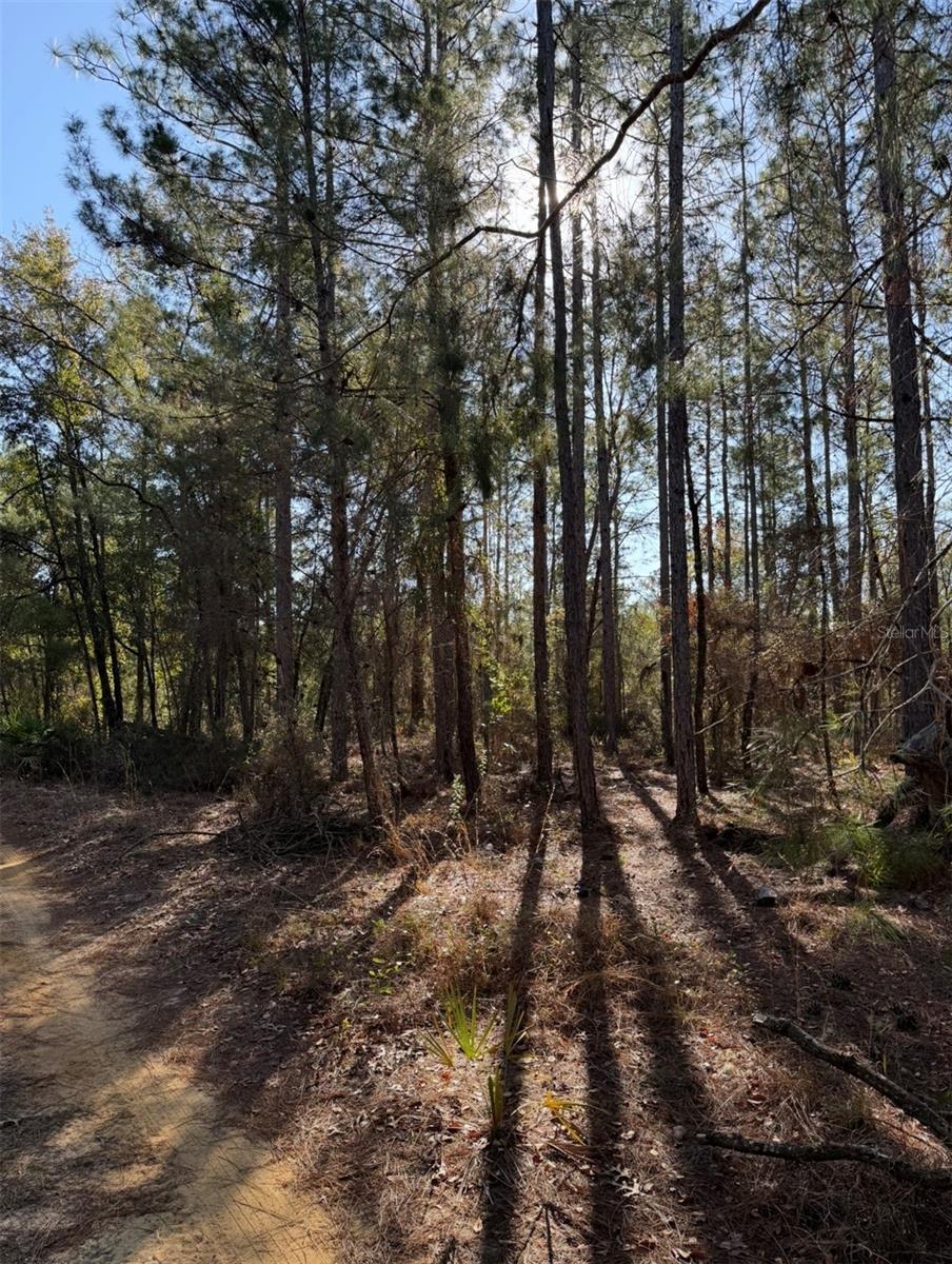 TBT 5TH WAY Property Photo 1