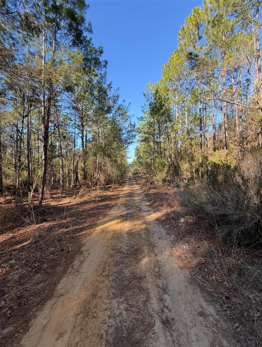 Tbt 5th Way Property Photo 4