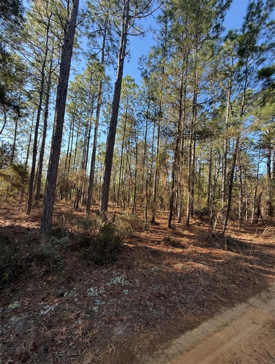 Tbt 5th Way Property Photo 5