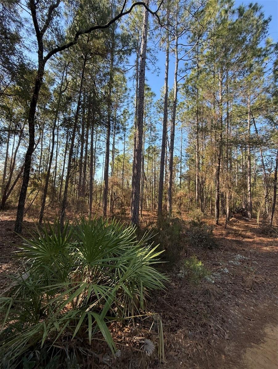 Tbt 5th Way Property Photo 6