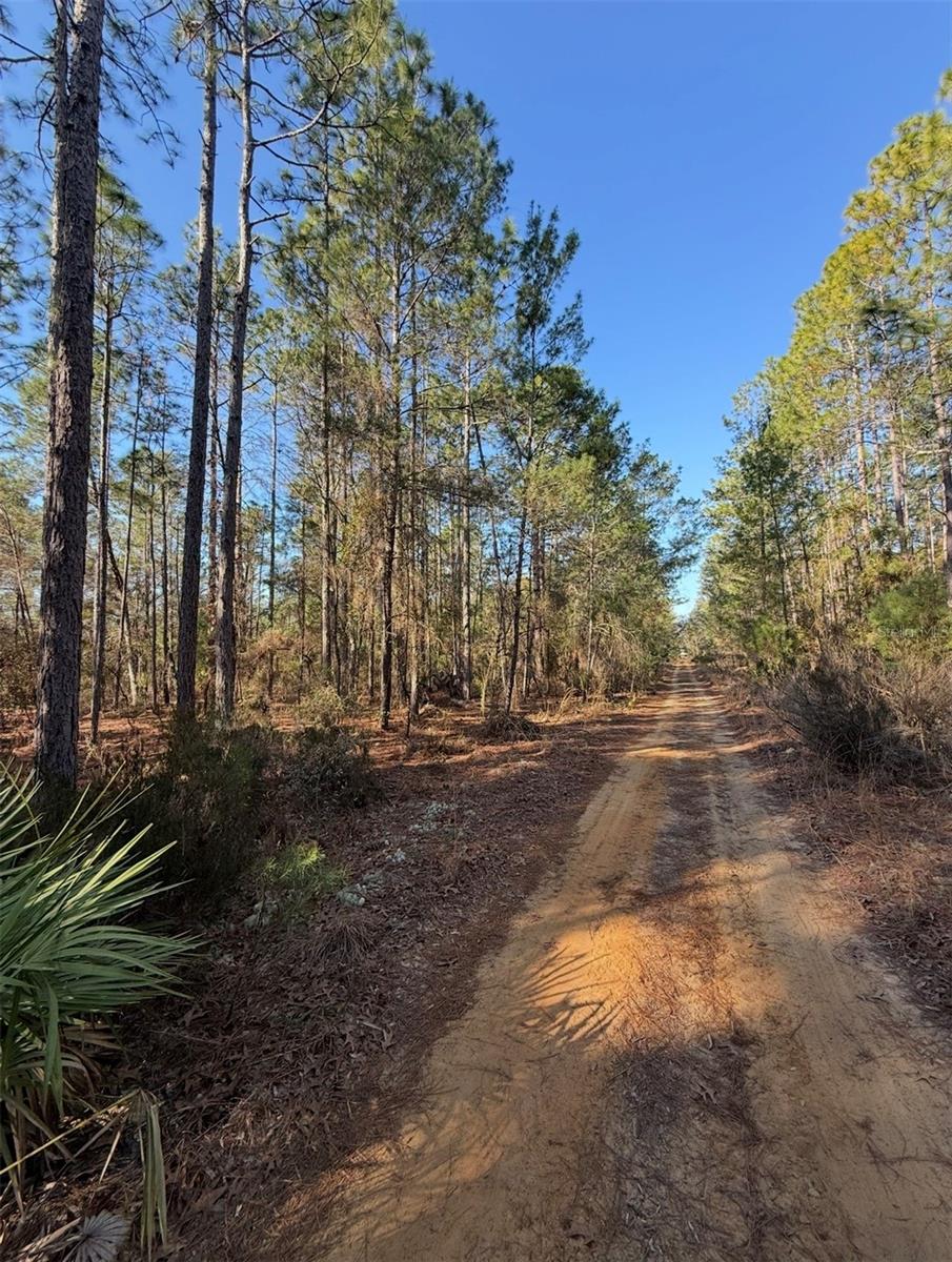 Tbt 5th Way Property Photo 7