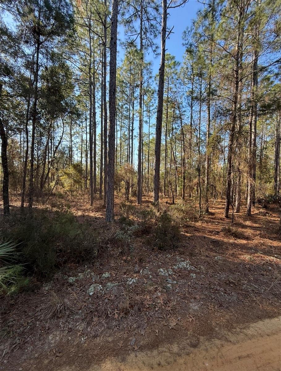 Tbt 5th Way Property Photo 8