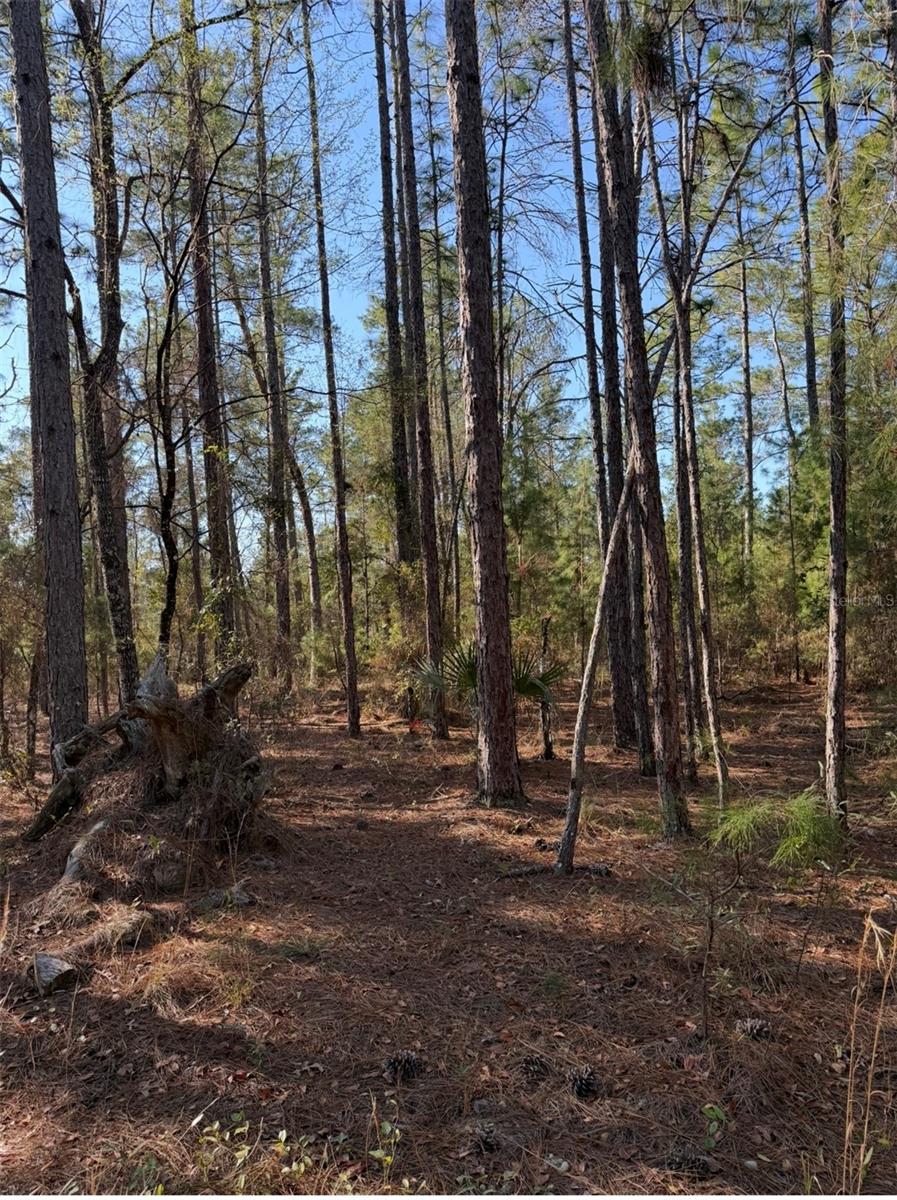Tbt 5th Way Property Photo 9