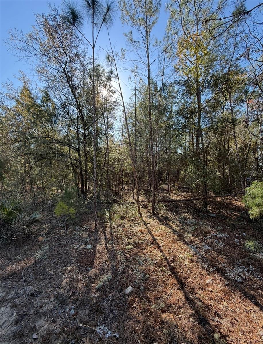 Tbt 5th Way Property Photo 10