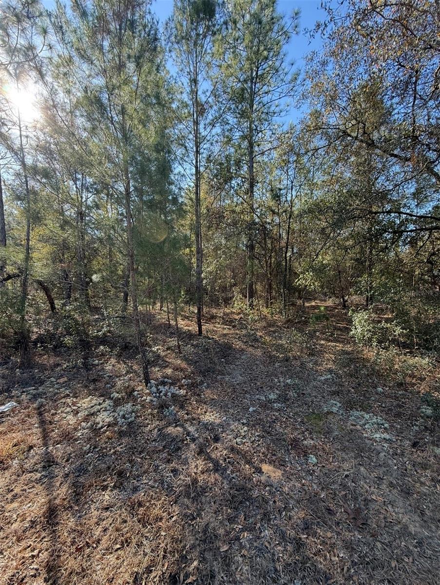 Tbt 5th Way Property Photo 11