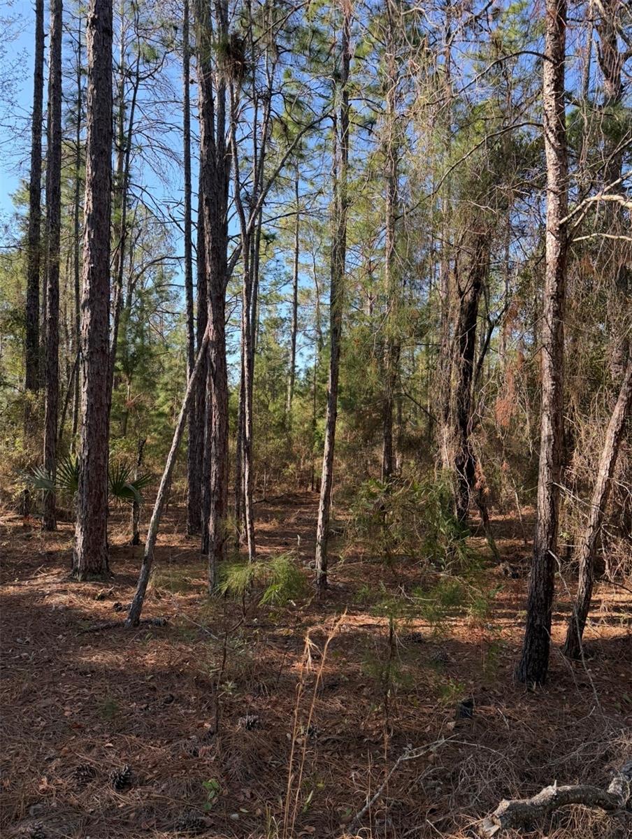 Tbt 5th Way Property Photo 12