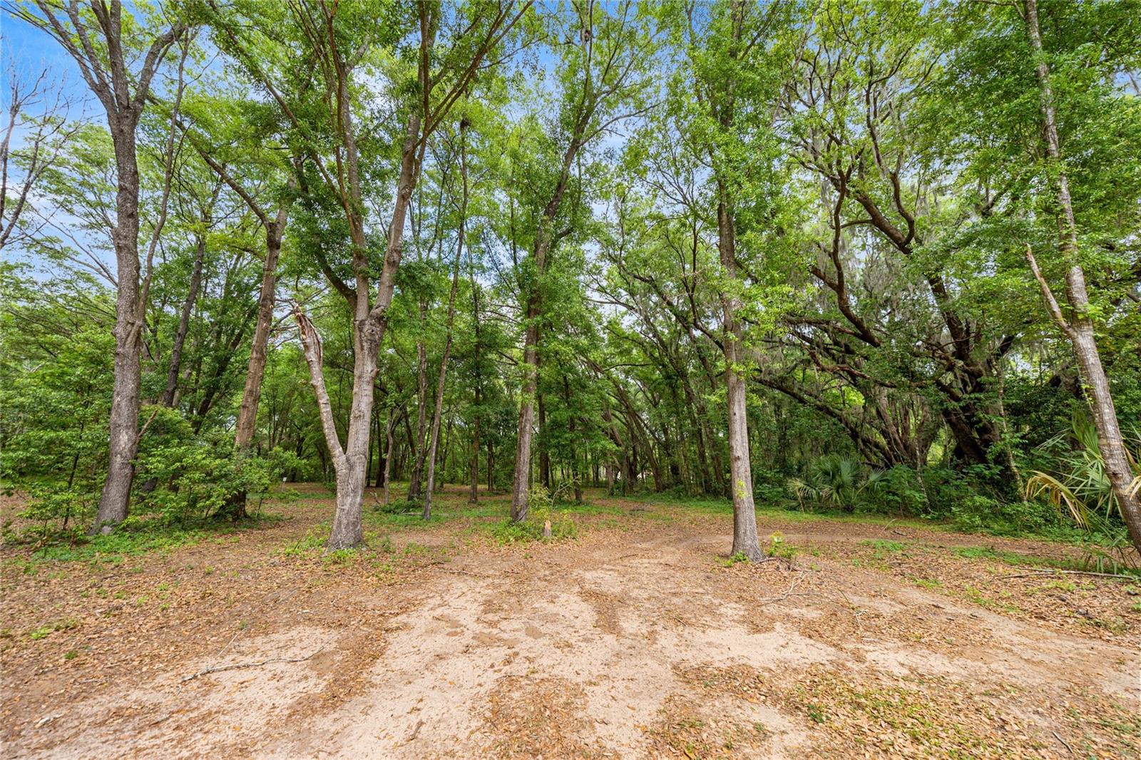 12882 Se 78th Ter Property Photo 6