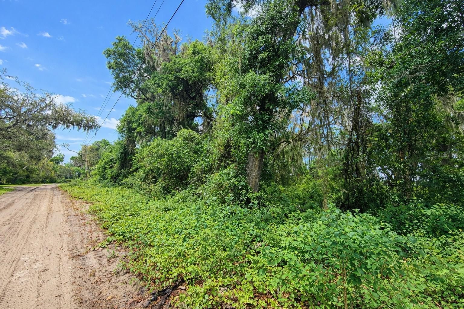 Tbd Ne 52nd Ct Property Photo 5