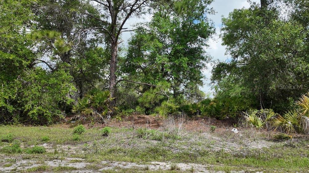 3104 51st St W Property Photo 13