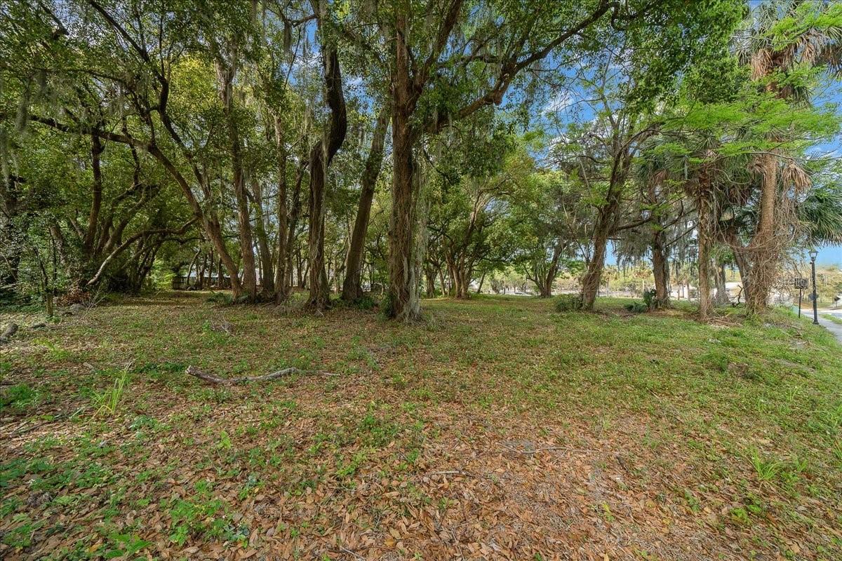 118 Ne Tuscawilla Ave Property Photo 40