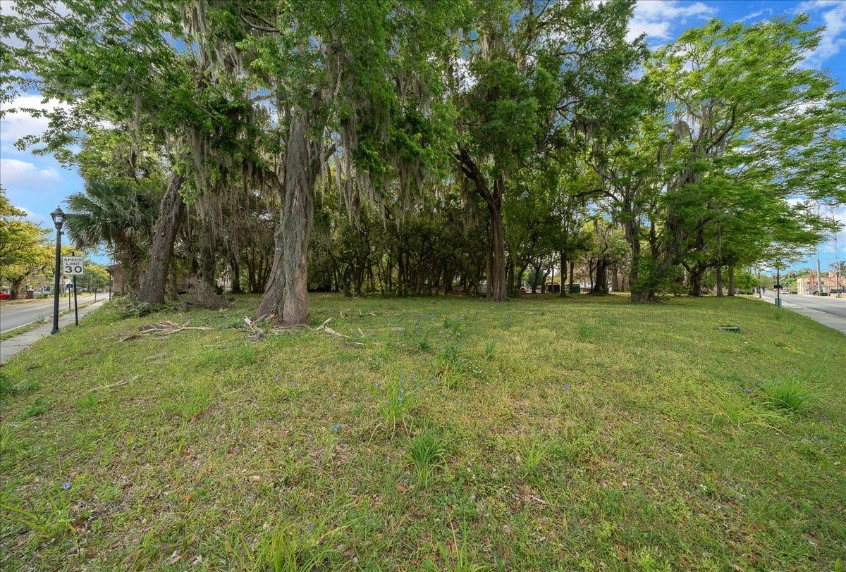 118 Ne Tuscawilla Ave Property Photo 43