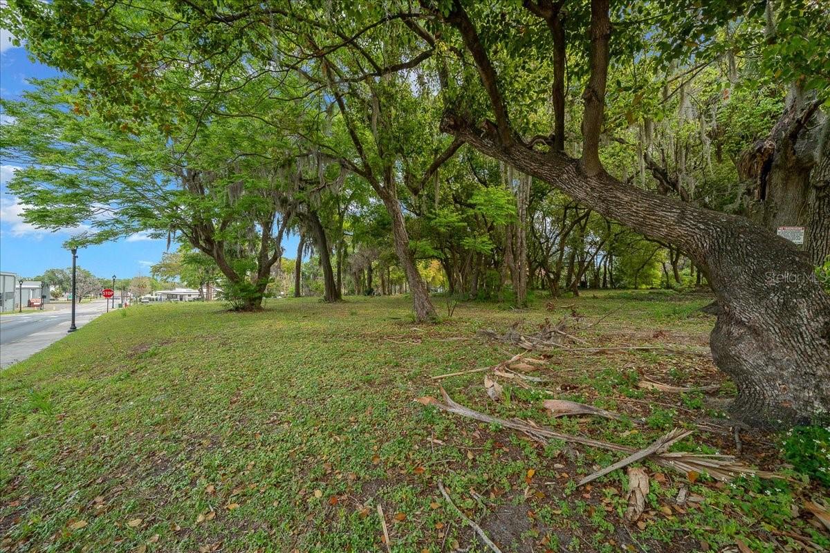 118 Ne Tuscawilla Ave Property Photo 44