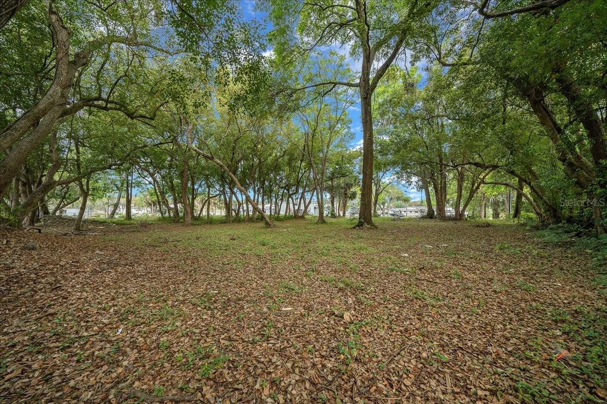 118 Ne Tuscawilla Ave Property Photo 45