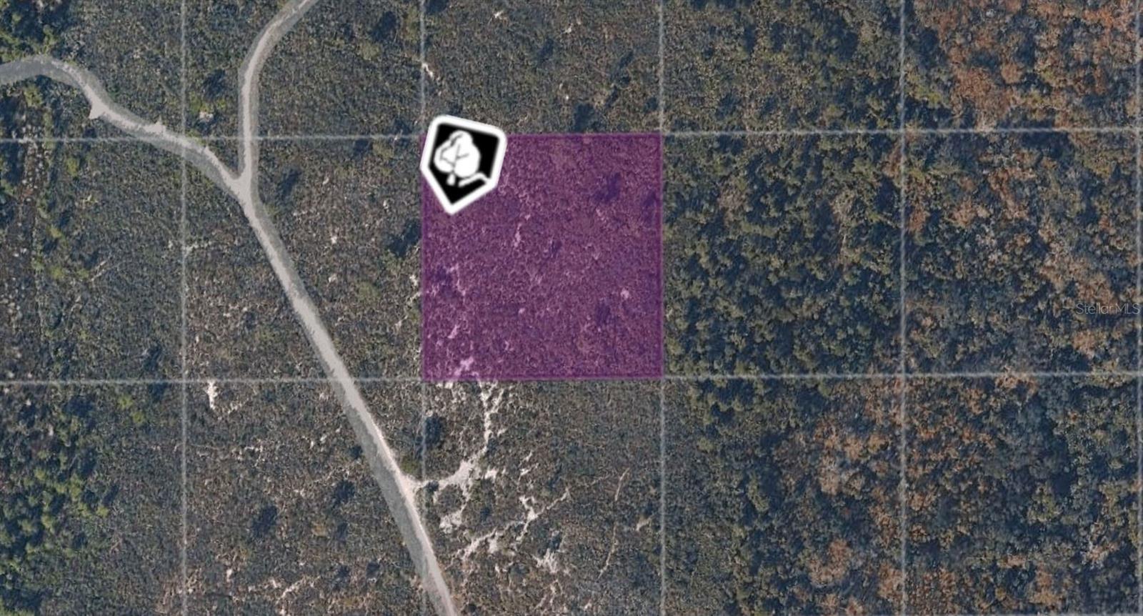 Tbd County Road Property Photo 1