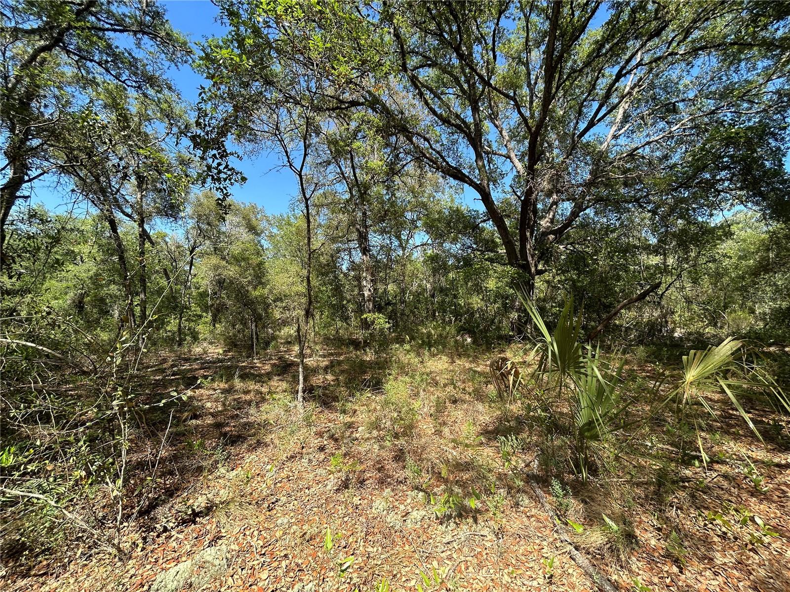 Tbd Se 62nd Property Photo 3