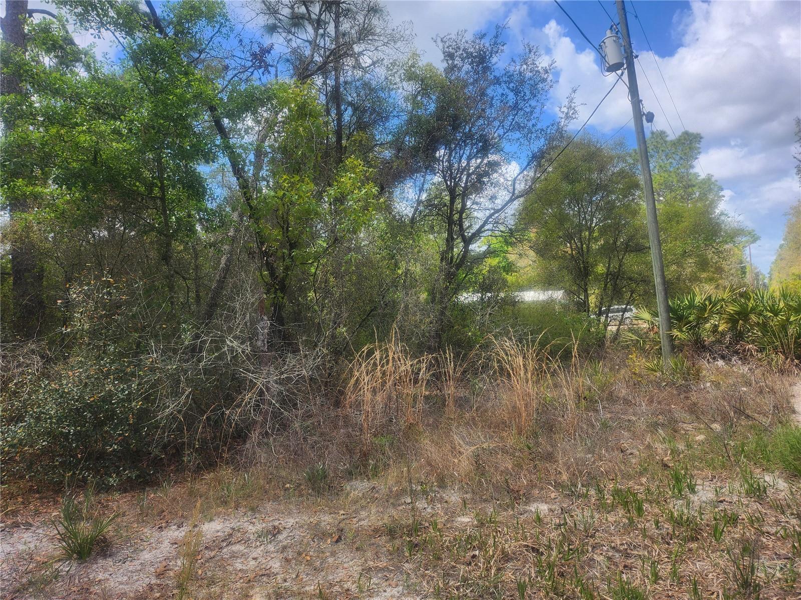 TBD NE 236 LN