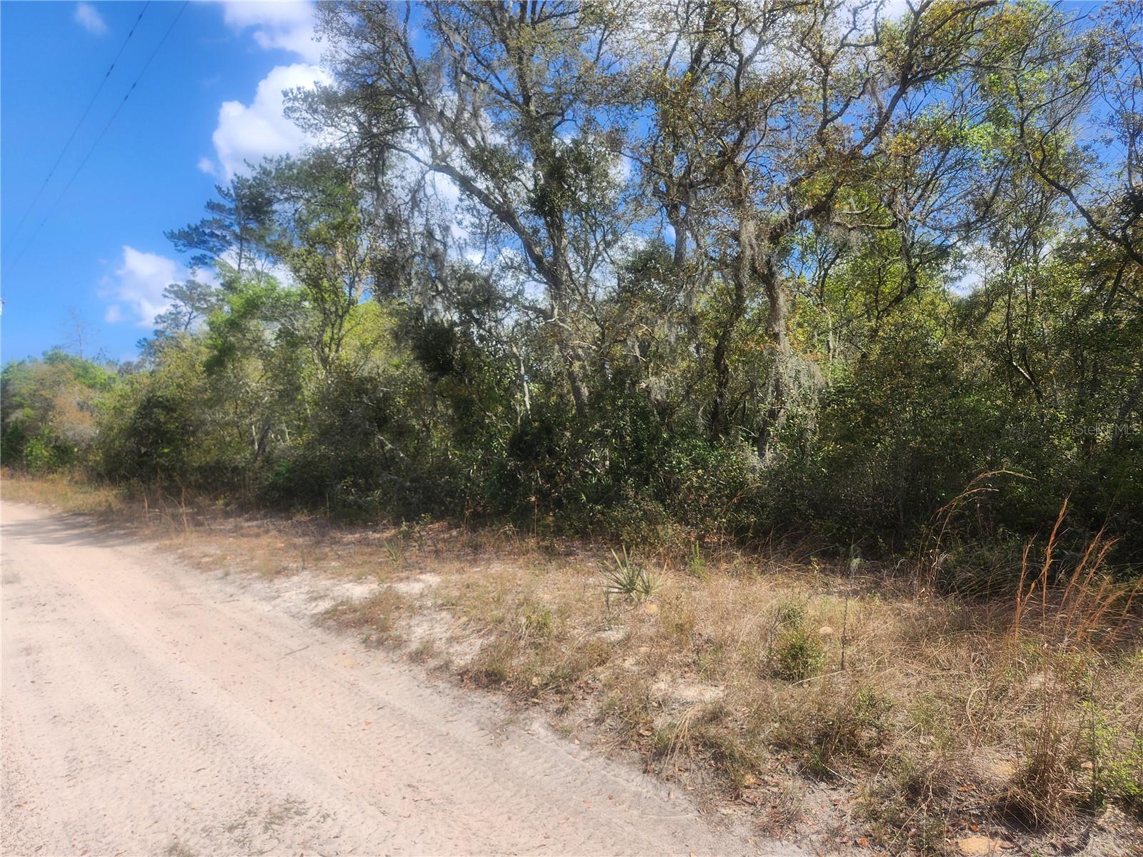 Tbd Ne 236 Ln Property Photo 2