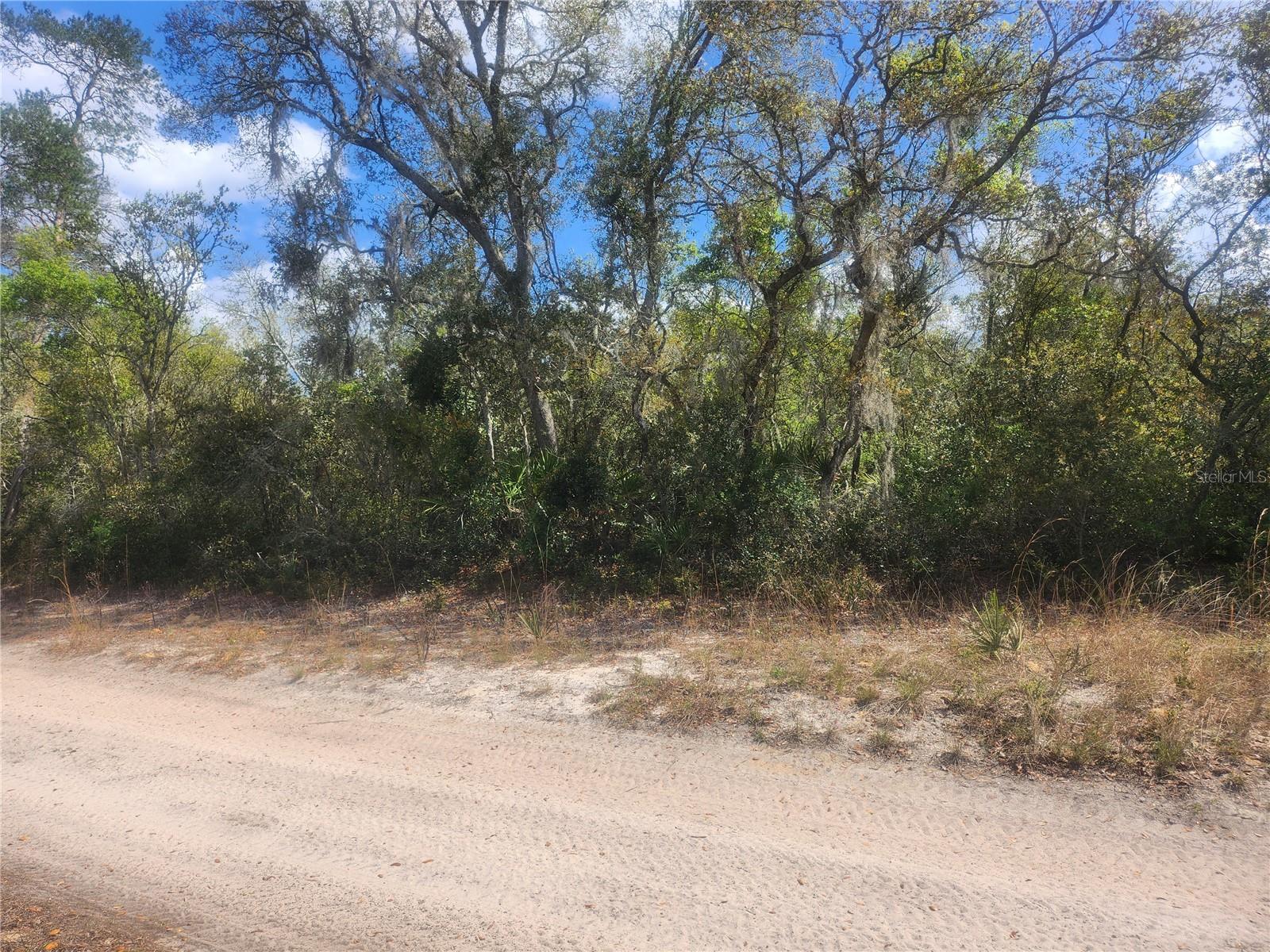 Tbd Ne 236 Ln Property Photo 3