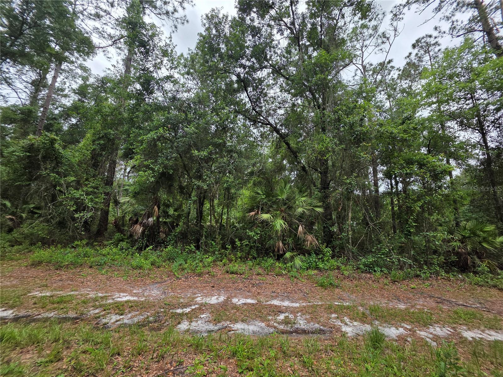 00 Ne 66th Ct Property Photo 3