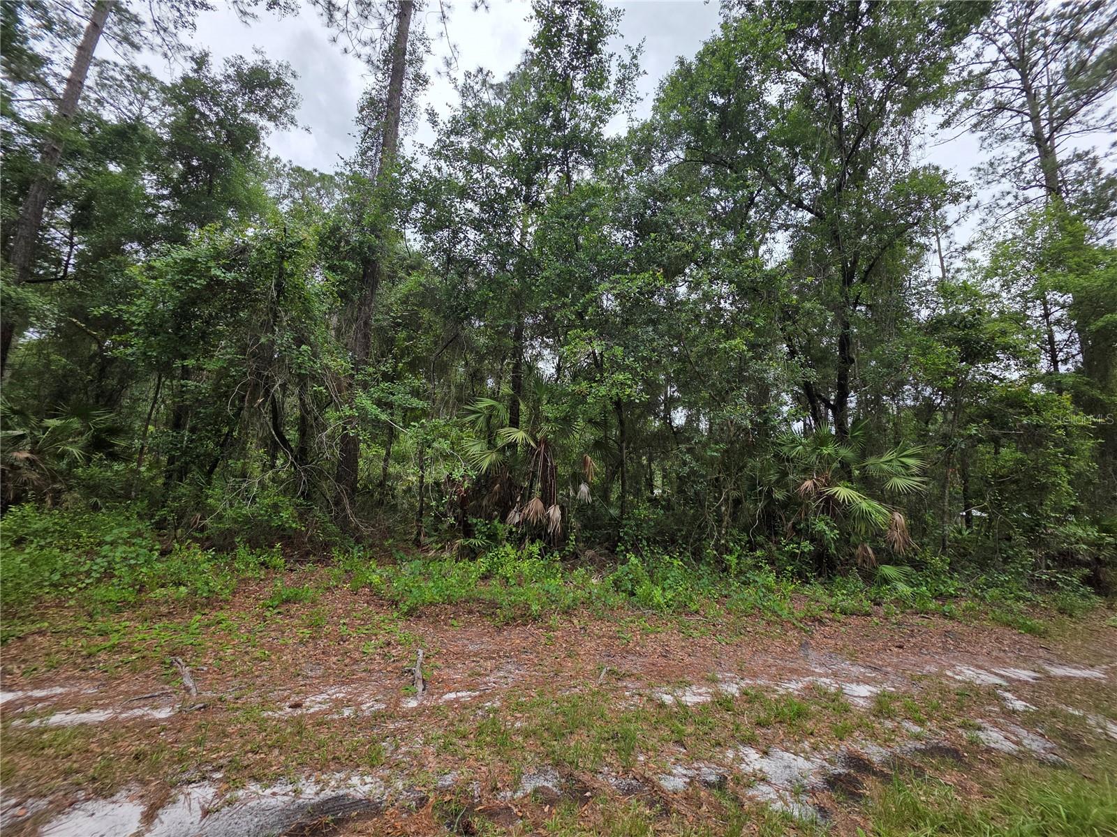 00 Ne 66th Ct Property Photo 4