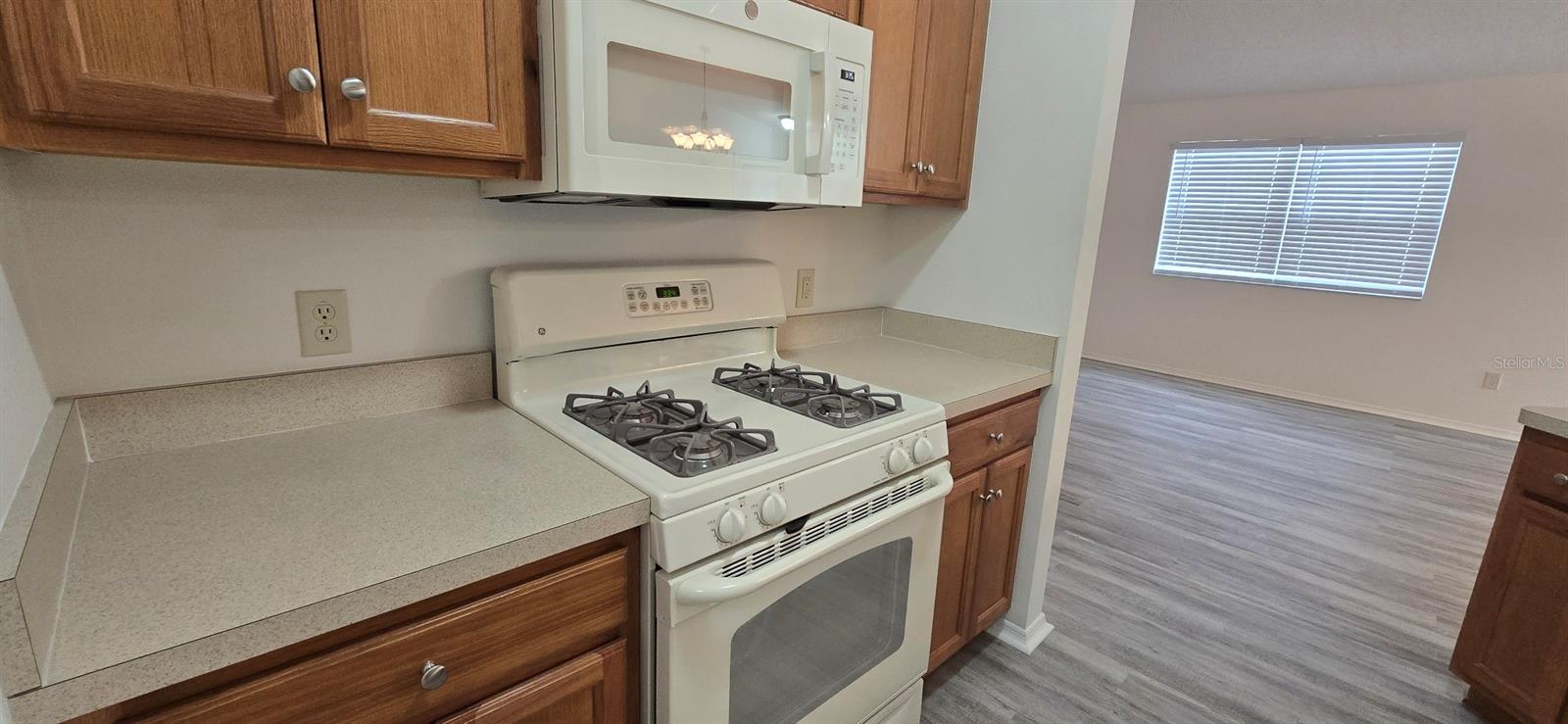 1009 Ridgeville Rd Property Photo 5