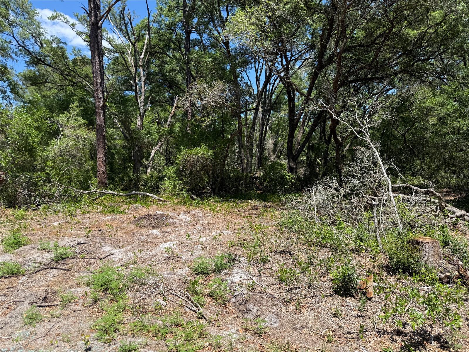 FISCHER LANE CT Property Photo 1