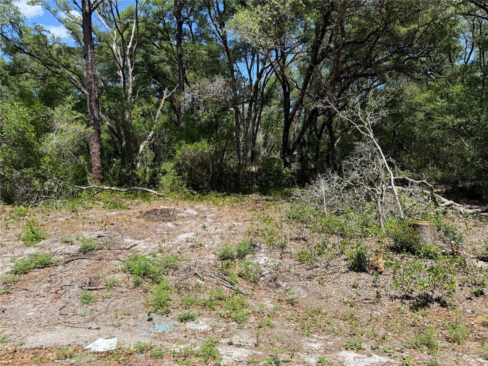 Fischer Lane Ct Property Photo 2