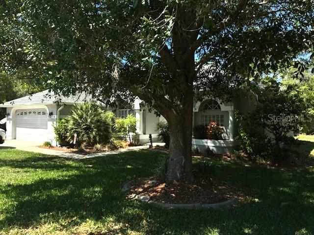 66 Lone Pine St Property Photo 4