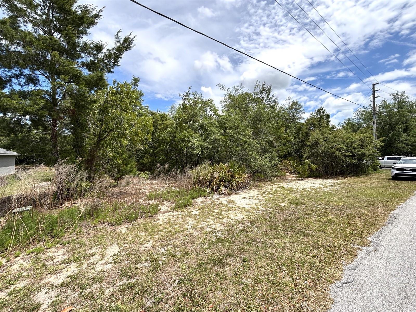 66 Lone Pine St Property Photo 46