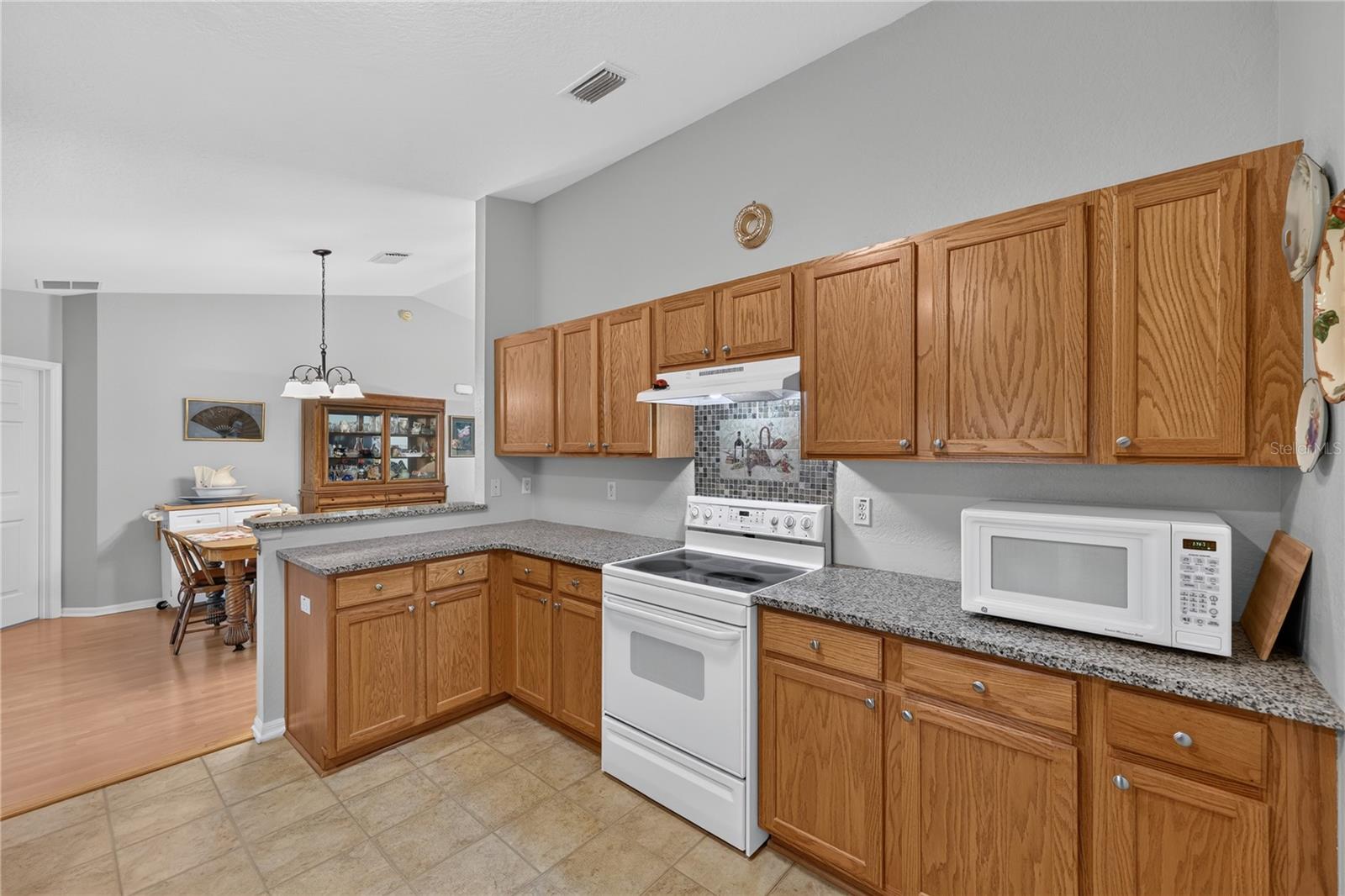 11579 Sw 140th Loop Property Photo 6
