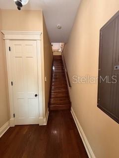 44 S Magnolia Ave Property Photo 6