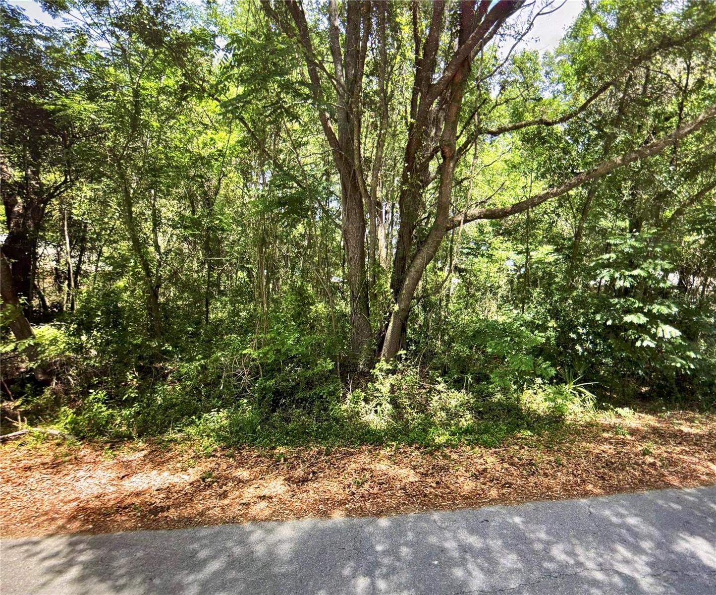 41 Pine Trace Crse Property Photo 1