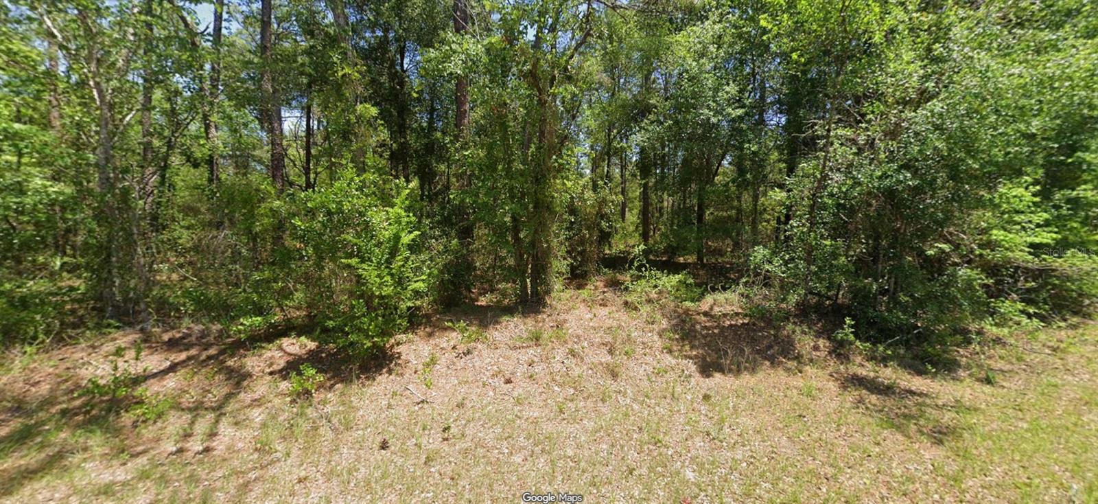 Nw Buena Vista Rd Property Photo 1