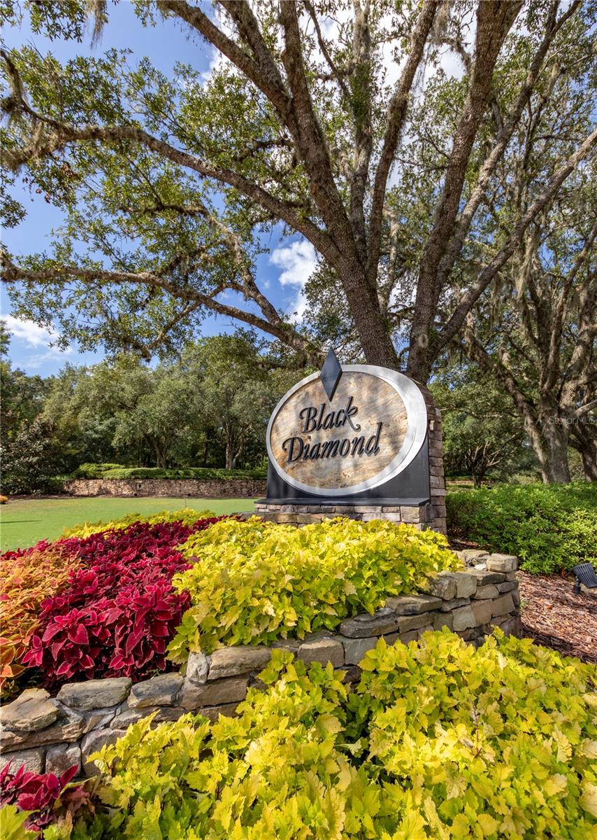 3099 N Barton Creek Cir Property Photo 45