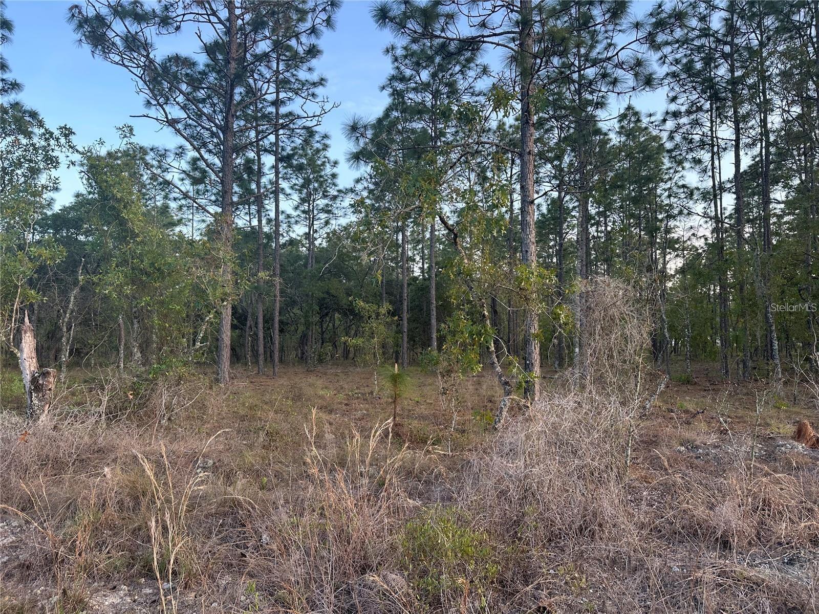Lot 3 Nw Amberjack Ave. Property Photo 1