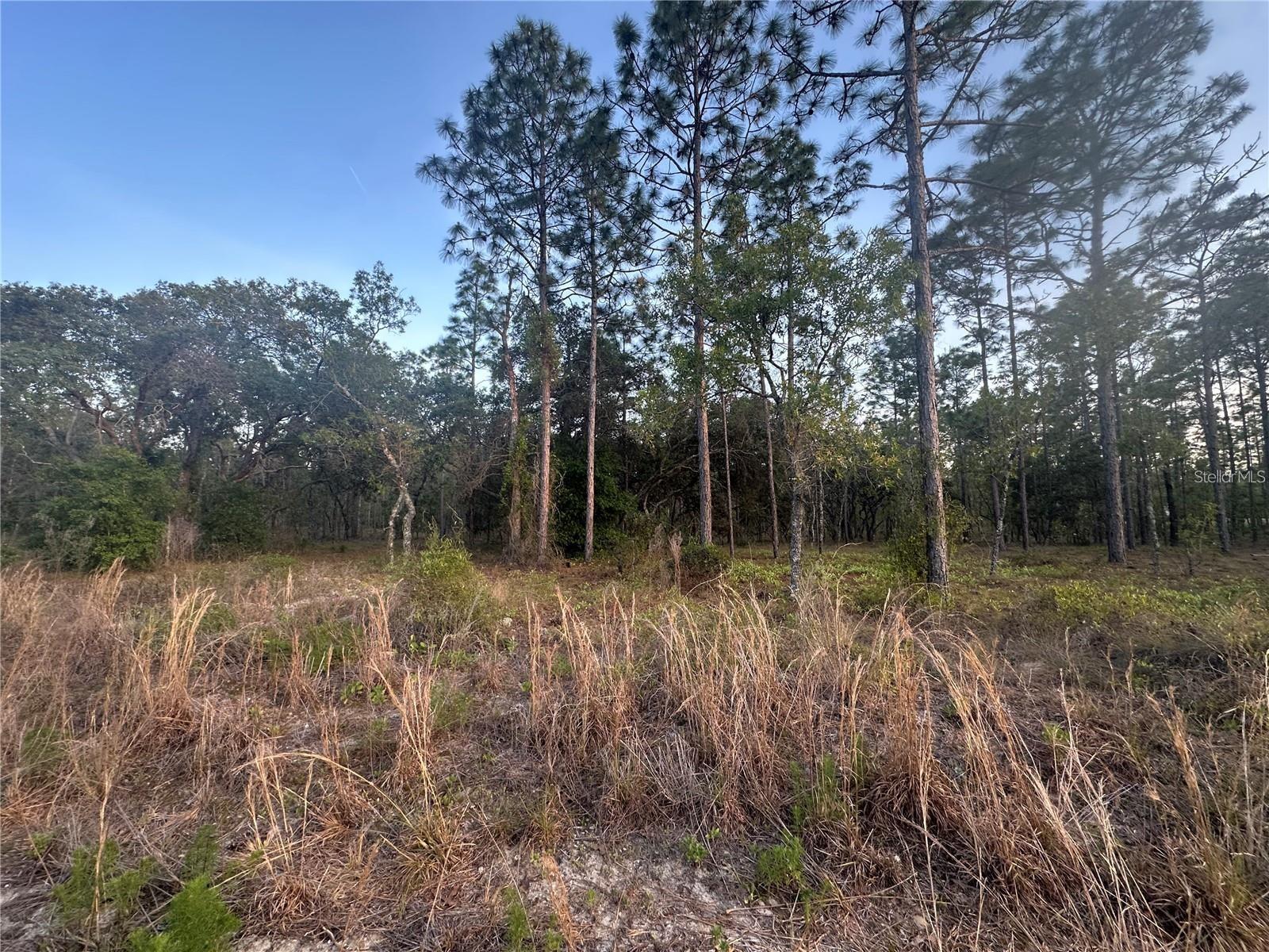 Lot 3 Nw Amberjack Ave. Property Photo 2