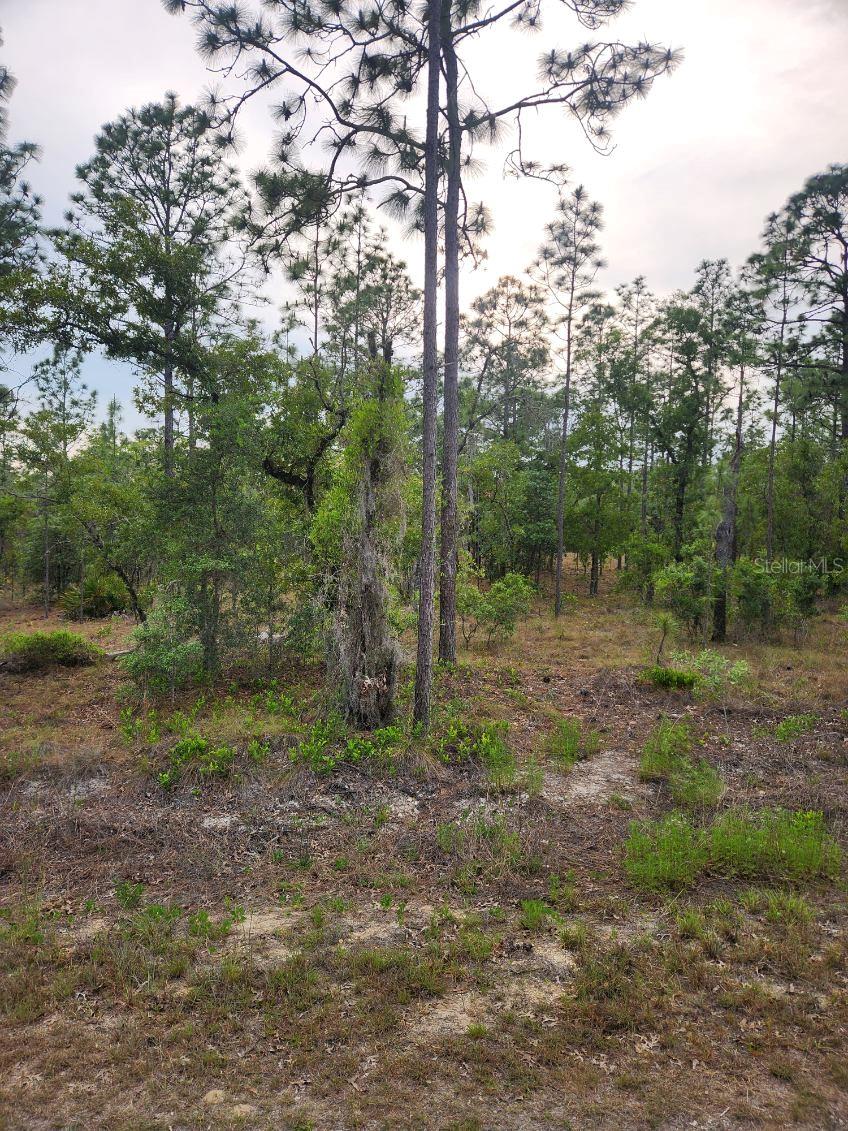 00 SE 130TH CT Property Photo 1