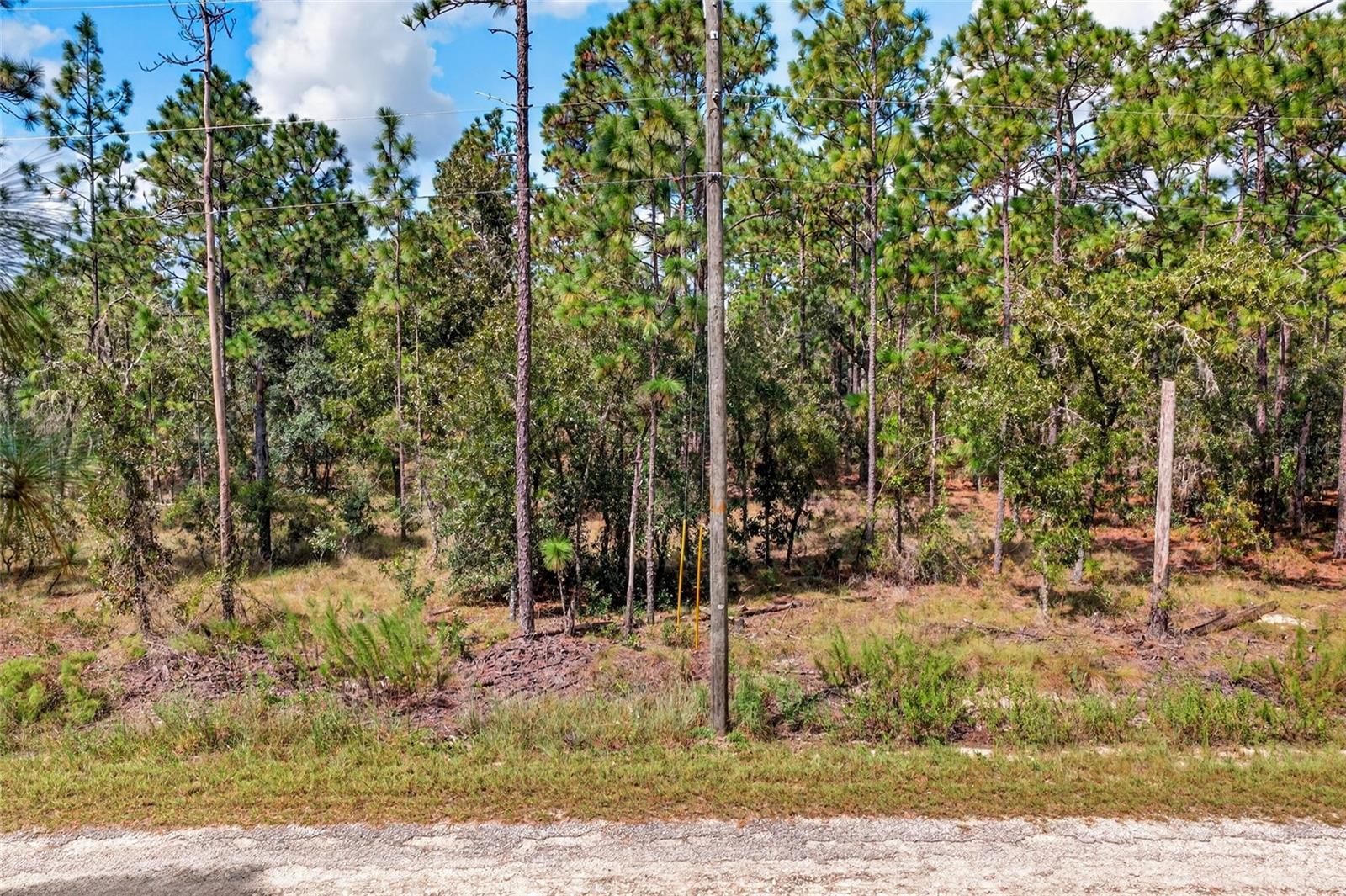 00 SE 130TH CT Property Photo 1