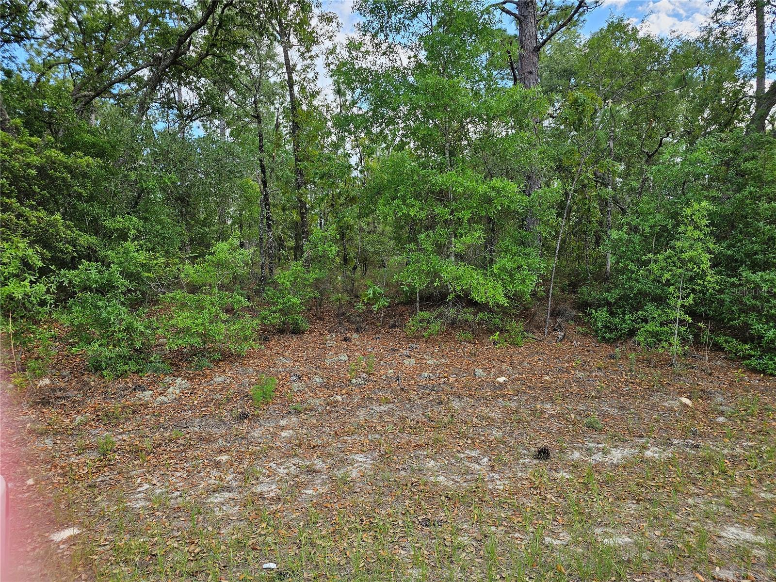 767 E BYRD Property Photo 1