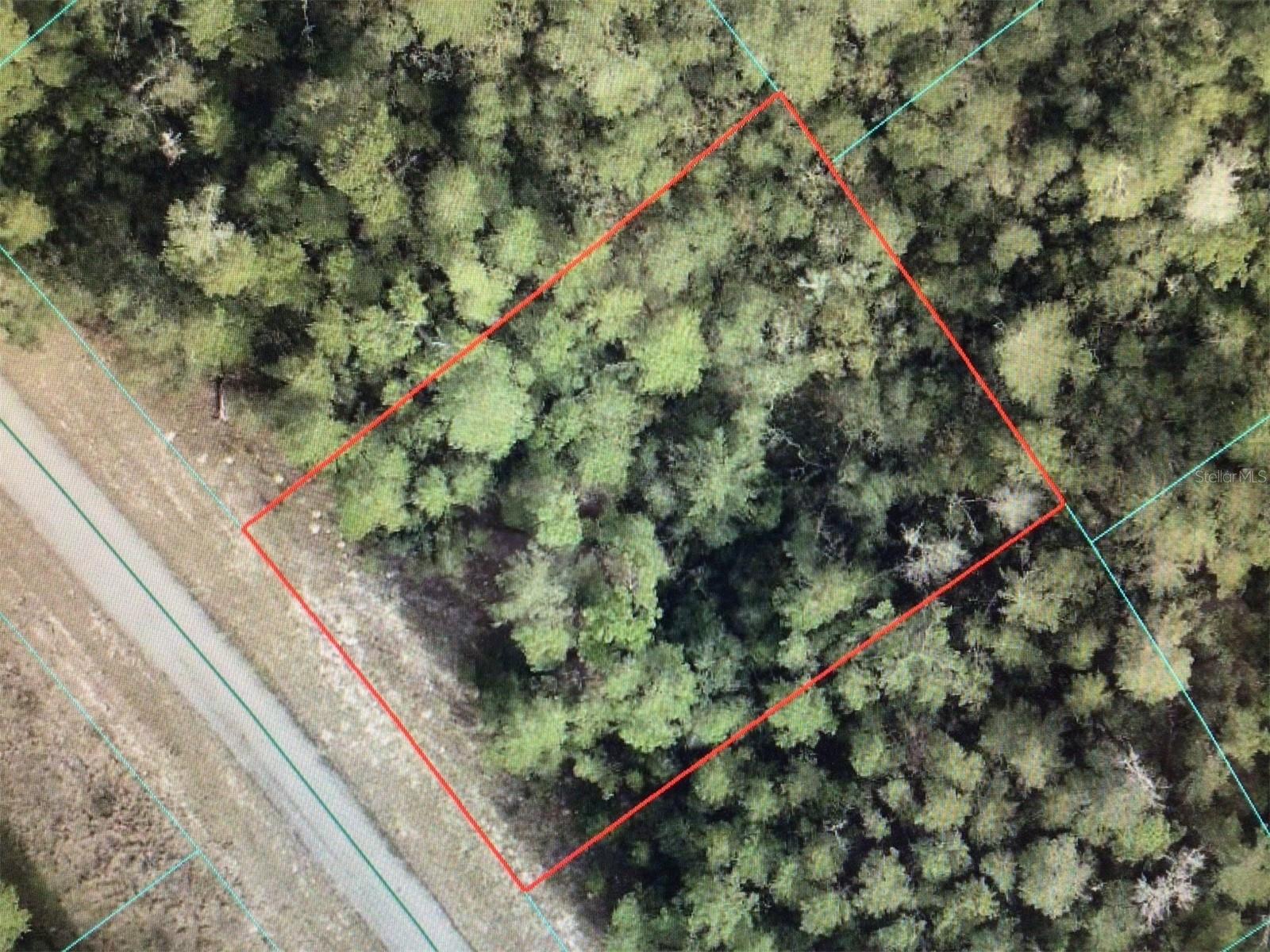 0 Sw 34 Ct Property Photo 4