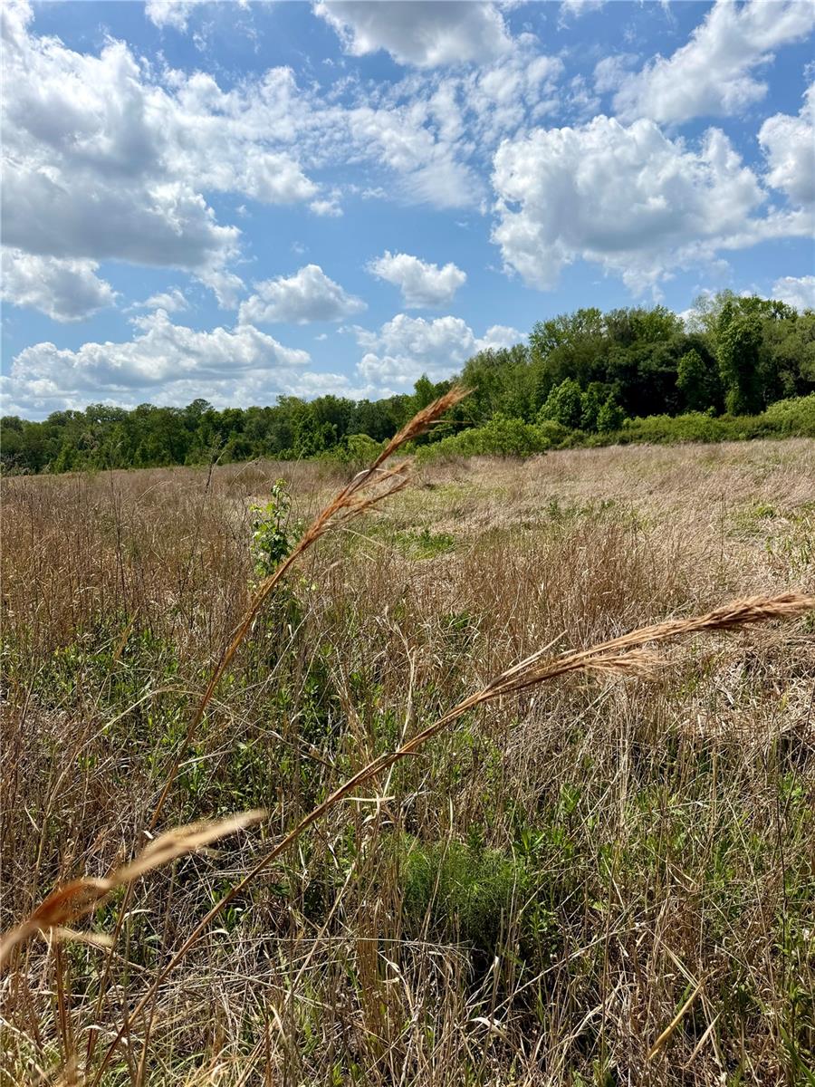 16500 Ne 48th Ave Property Photo 7