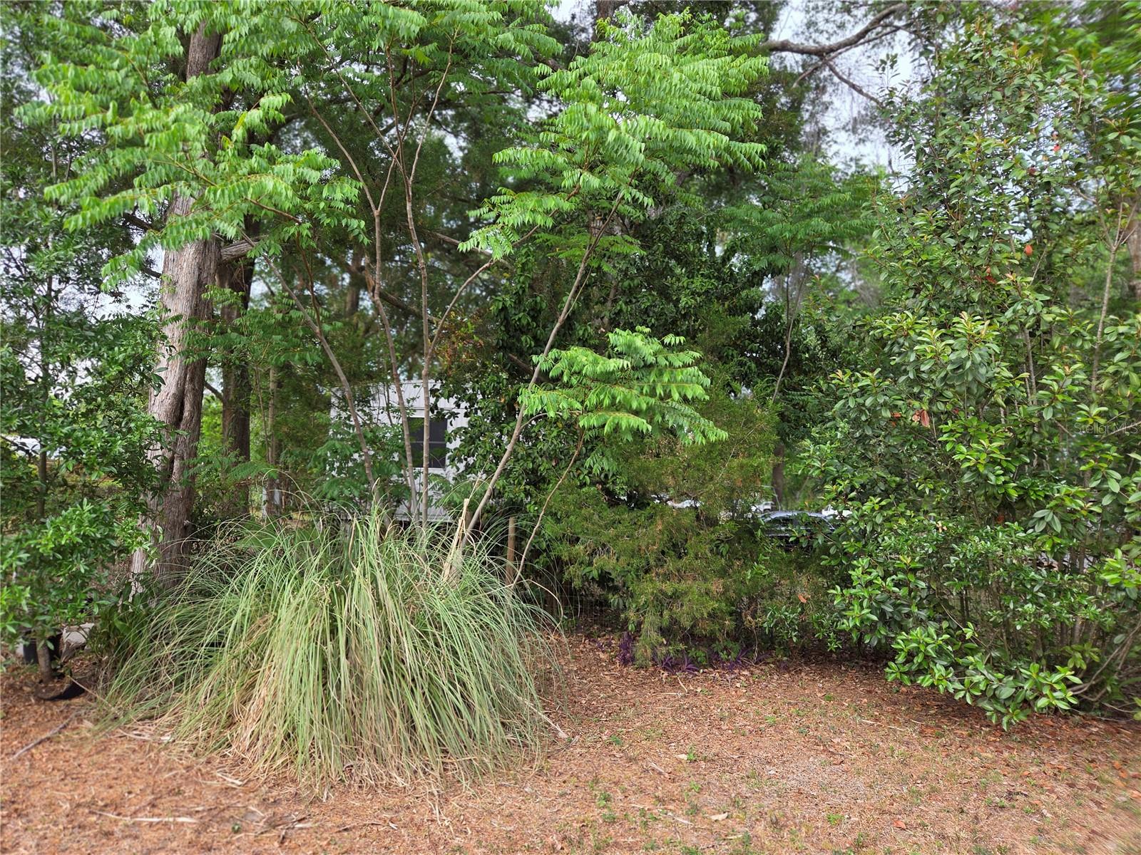 421 Margaret St Property Photo 31