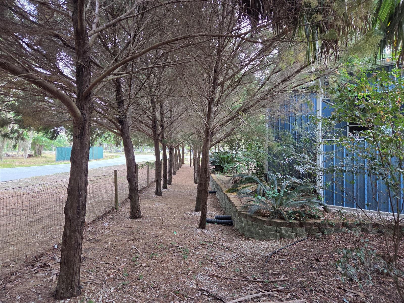 421 Margaret St Property Photo 69
