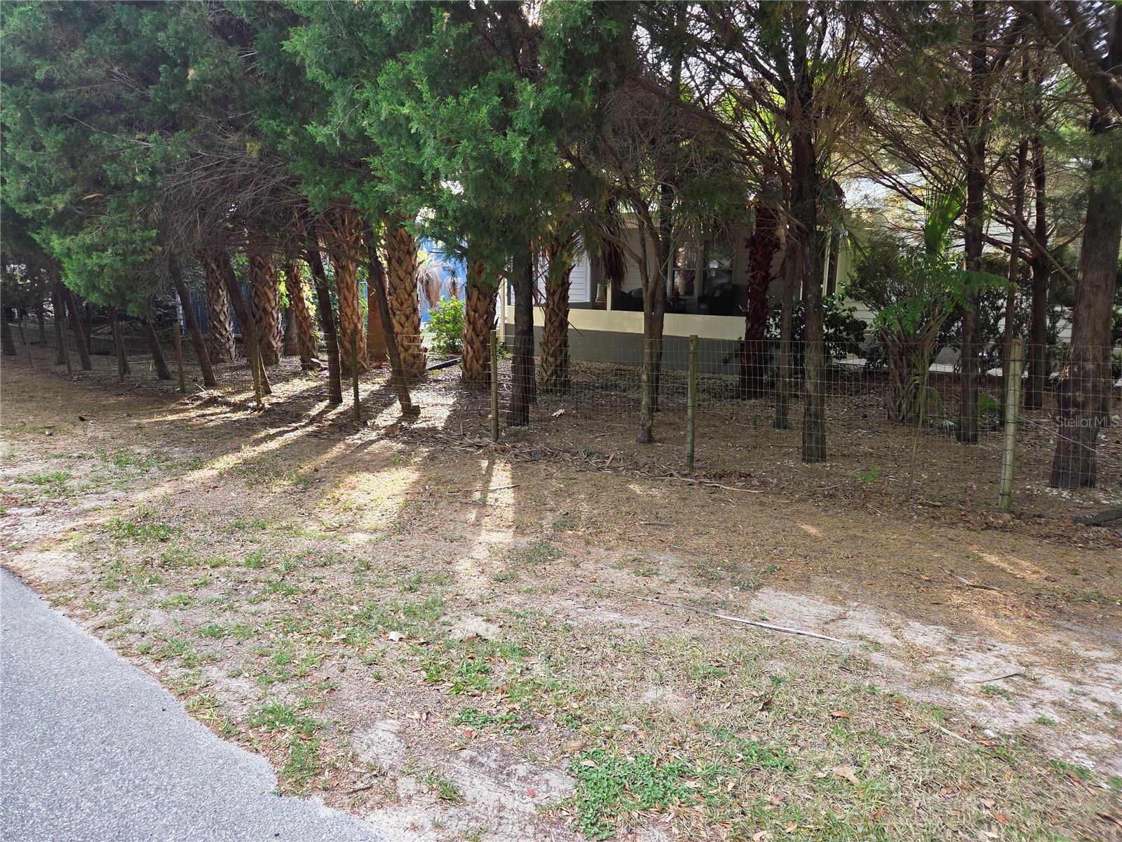 421 Margaret St Property Photo 71