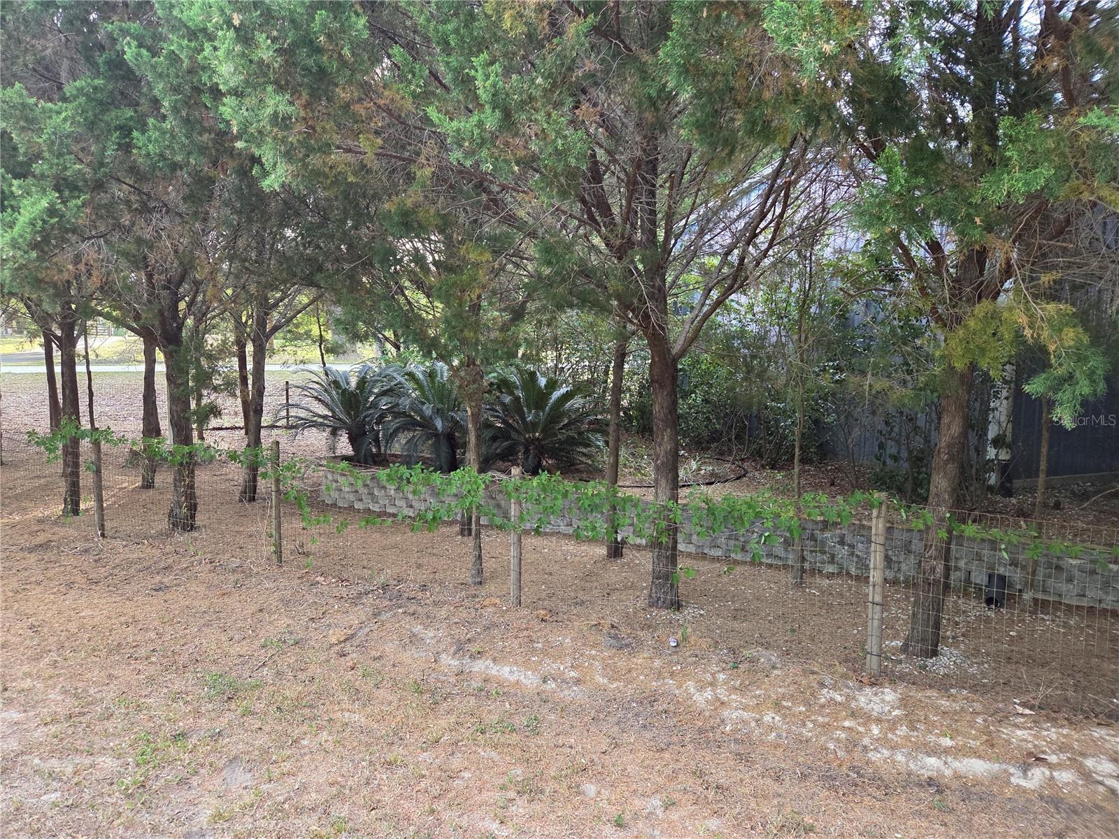 421 Margaret St Property Photo 73