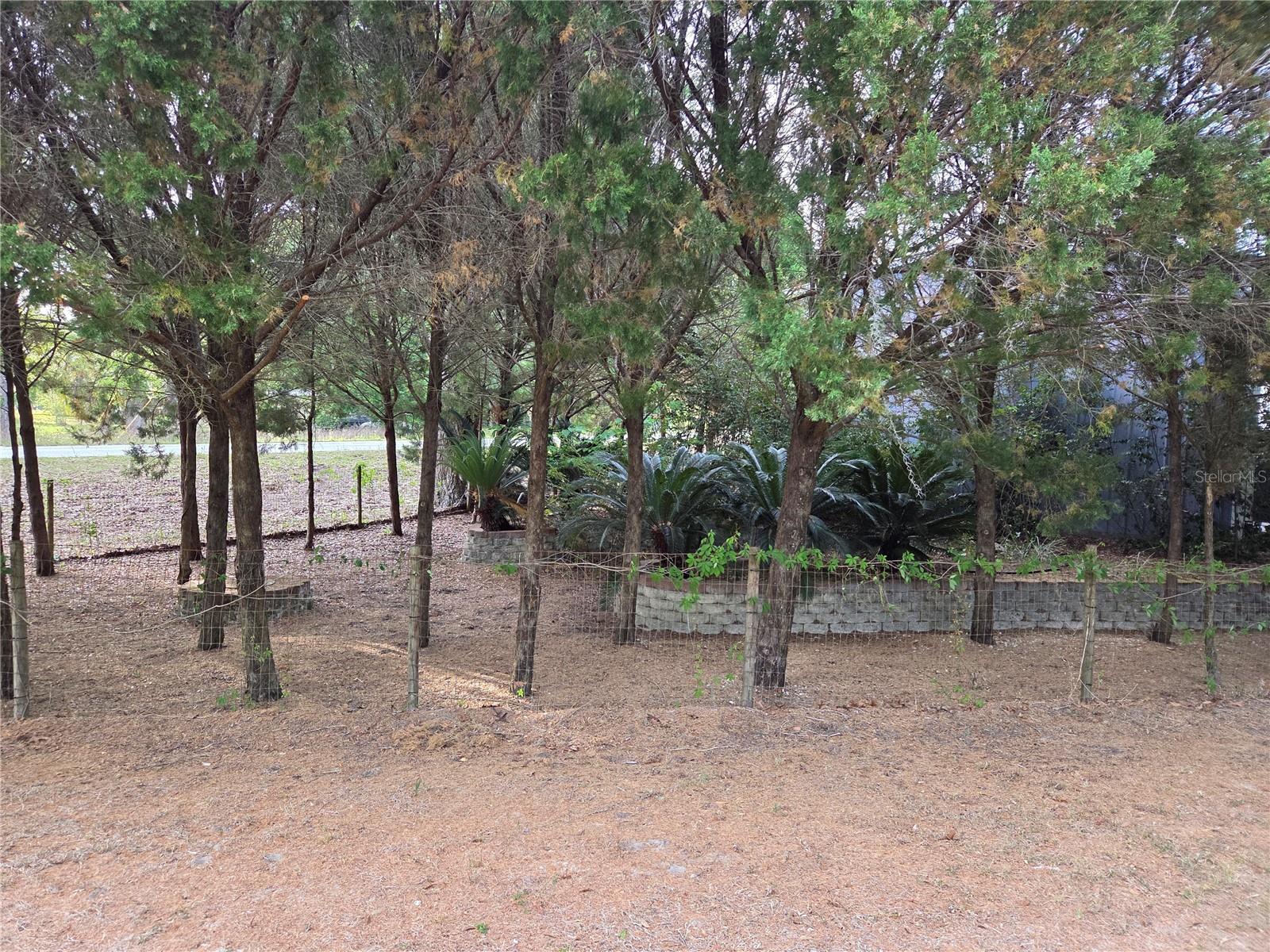 421 Margaret St Property Photo 74